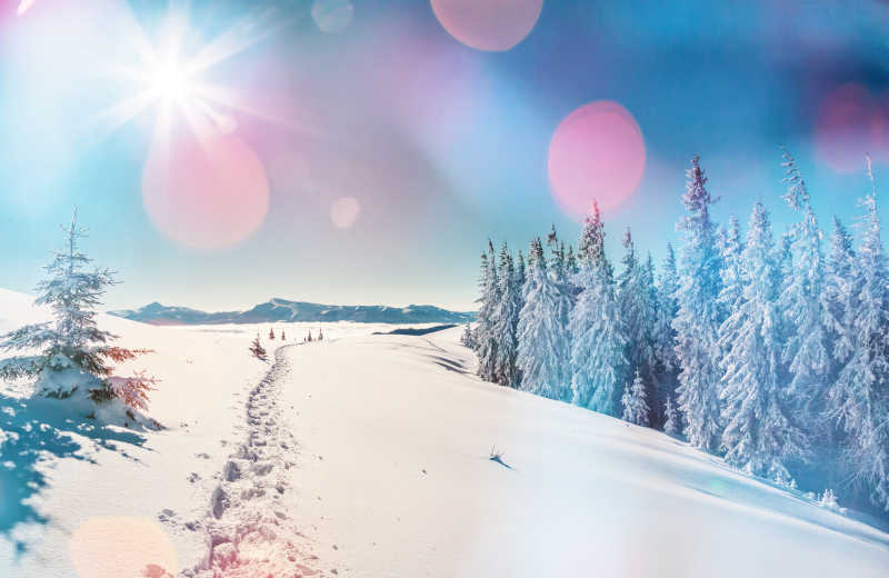 冬日阳光下壮丽的雪景