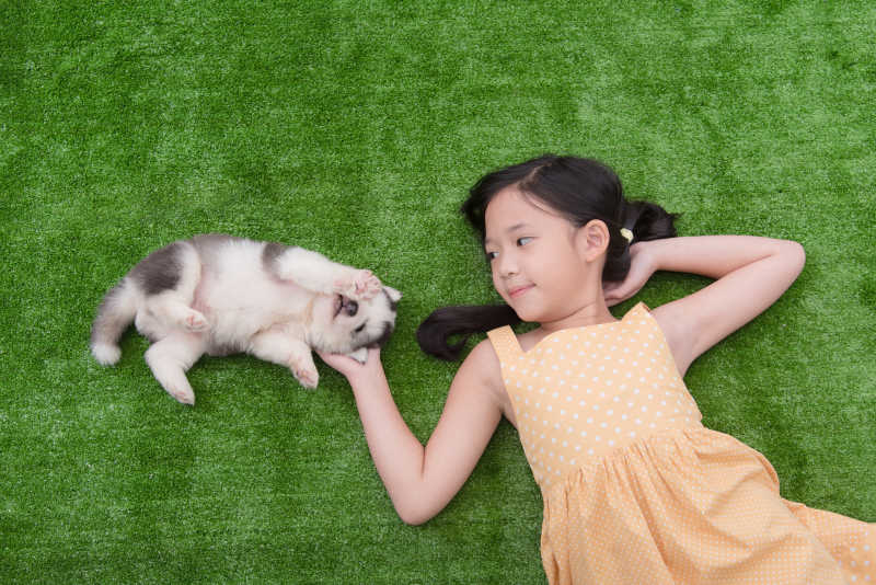 躺在草地上的亚洲女孩和她的小狗