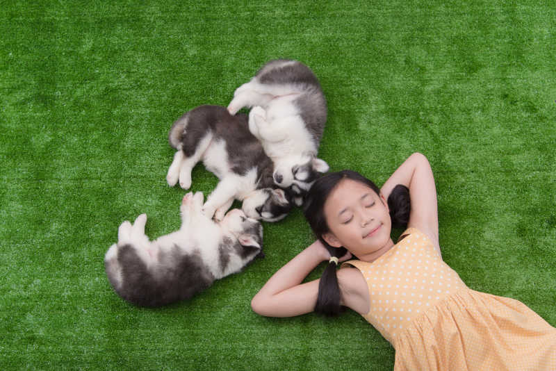 可爱的小女孩和三只小狗躺在草地上
