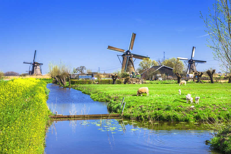 传统的荷兰农村风车