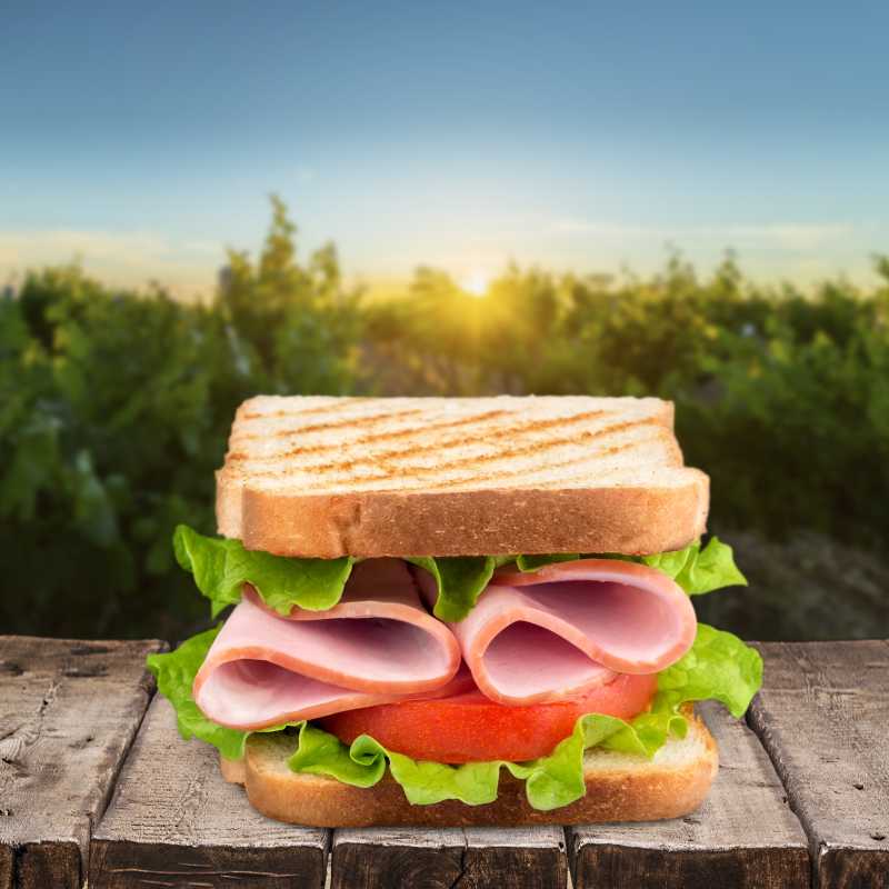 晴天树木阳光背景下的木板纹理上夹肉三明治