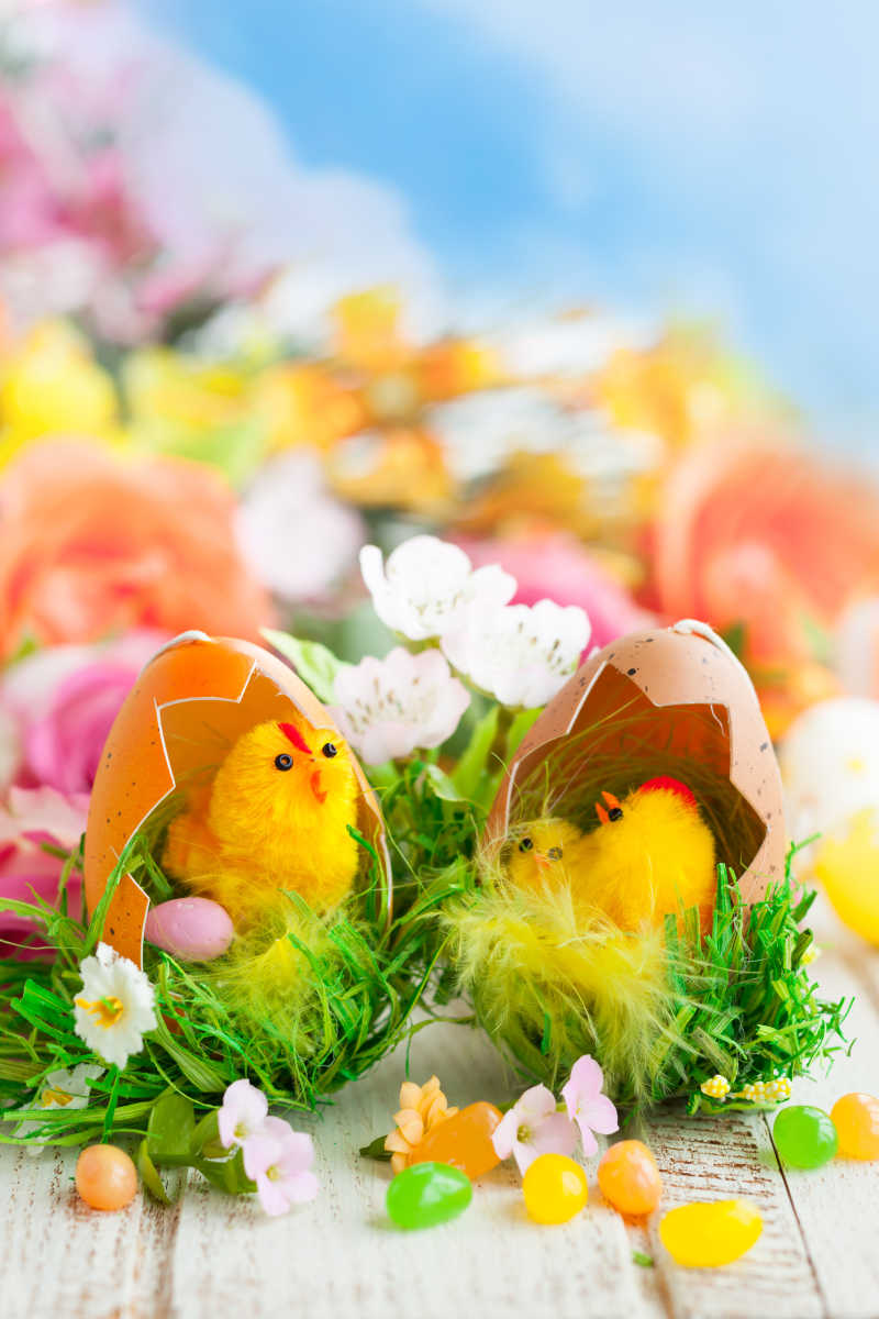 破壳的小鸡小和鲜花装饰复活节