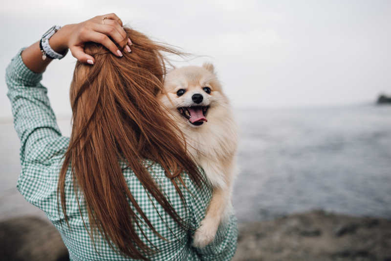 海边抱着小狗的年轻女人的背影