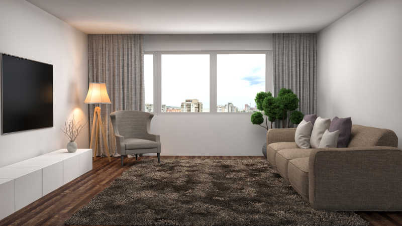 棕色沙发的室内立体效果设计