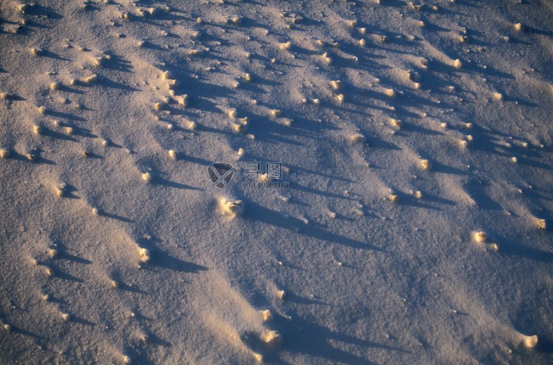 夕阳下的沙地上到处都是石子的影子