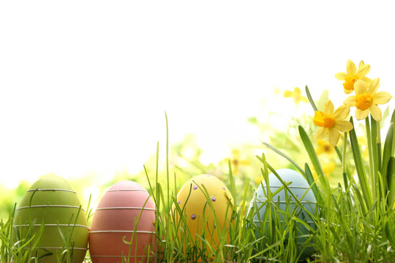 草地里的复活节彩蛋