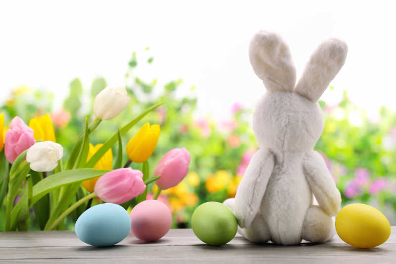 复活节彩蛋和一个白色兔子