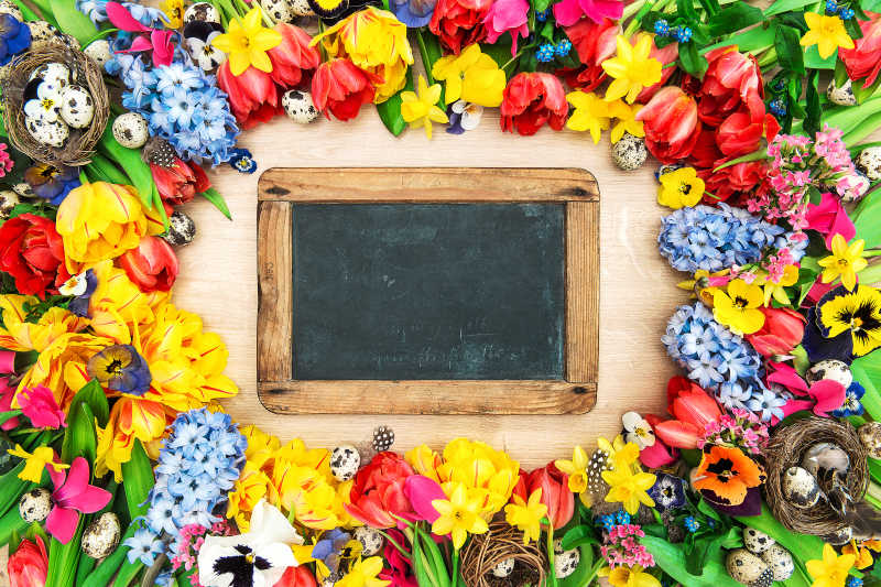 木制背景黑板和美丽的各种鲜花春天的花和木制背景黑板