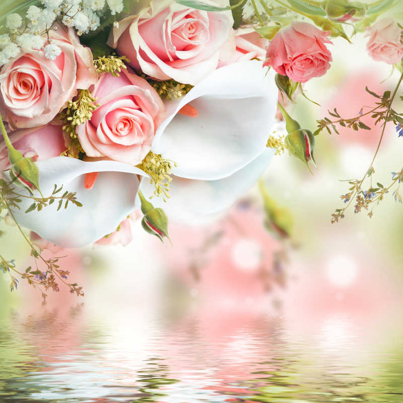 粉色的玫瑰与白色马蹄莲