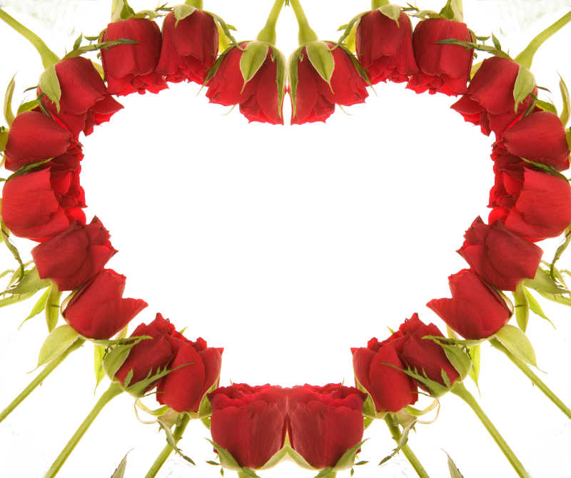白色背景下红玫瑰组成的爱心