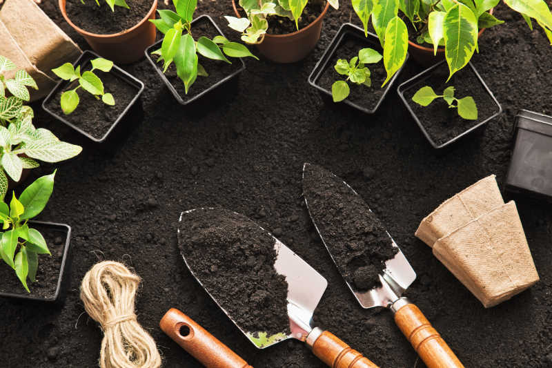植物和园艺工具