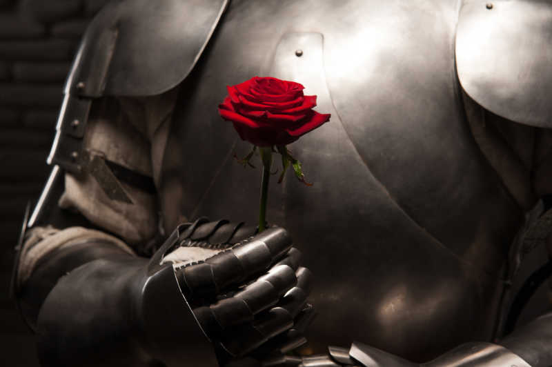 拿着玫瑰的浪漫的骑士