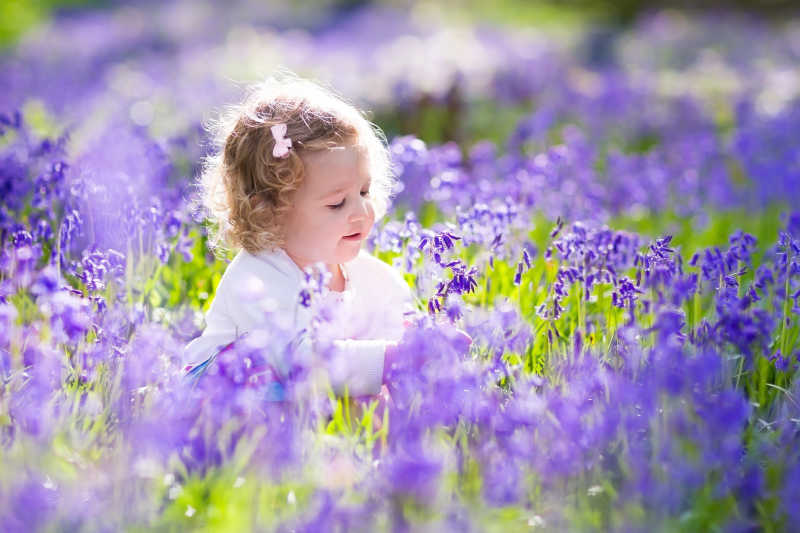 蓝铃花花丛中的可爱小女孩