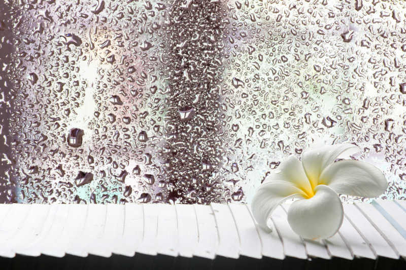 白色花和玻璃上的水滴