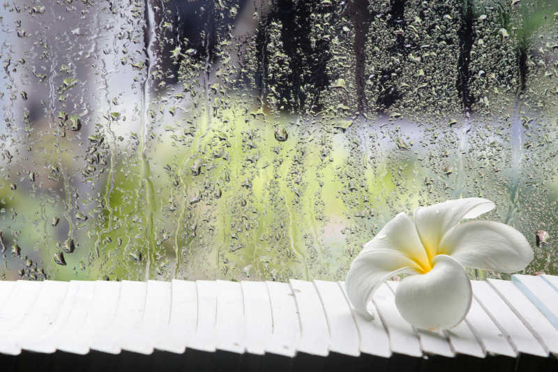 玻璃水汽和白色花朵