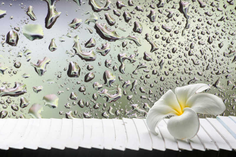 玻璃上的水滴和白色花朵