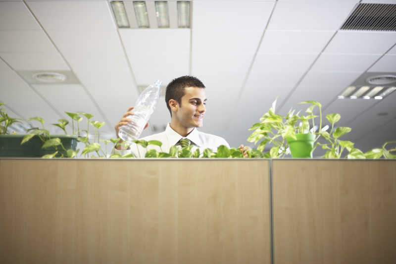 年轻人在办公室里浇绿色植物