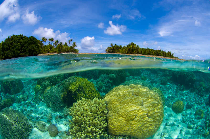 海水之上的岛屿与之下的珊瑚礁