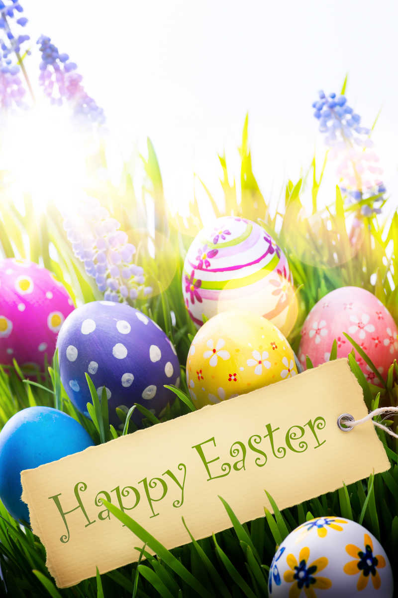 阳光下草地上的复活节彩蛋和祝福纸条