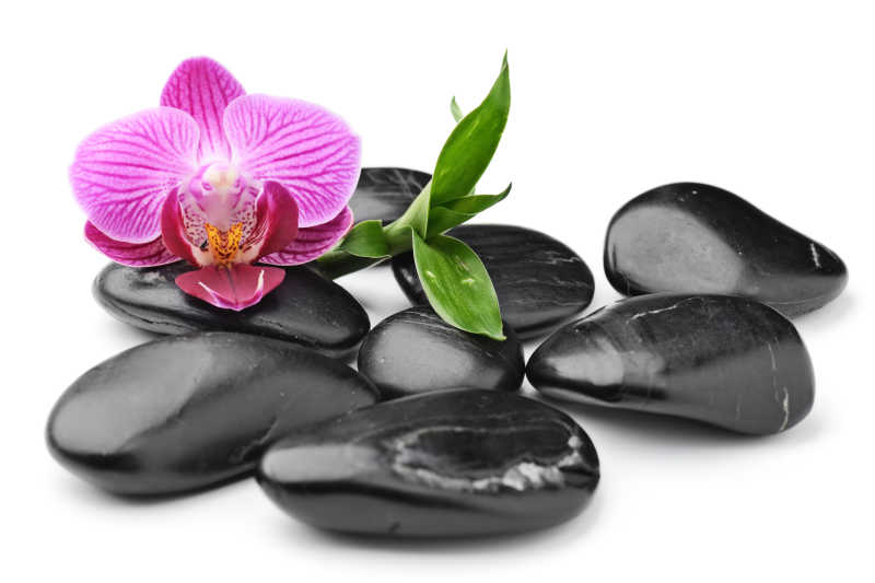 美丽的兰花和黑色的石头