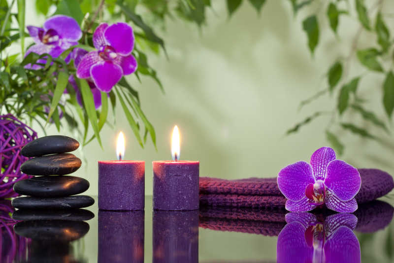 紫色的兰花和禅石