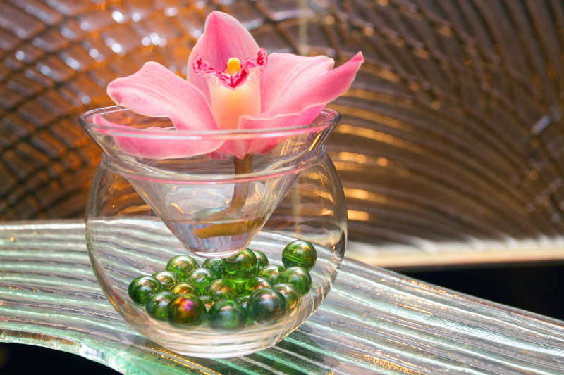 玻璃花瓶里的美丽兰花