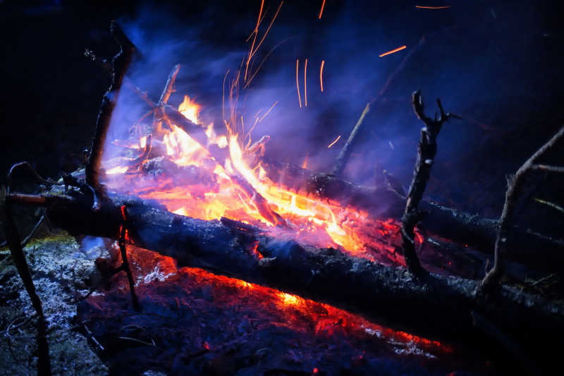 篝火中燃烧的木材