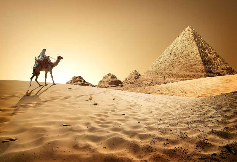 埃及金字塔与沙漠骆驼