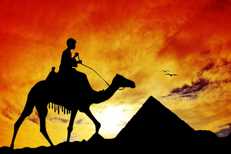 埃及的金字塔与骆驼的剪影