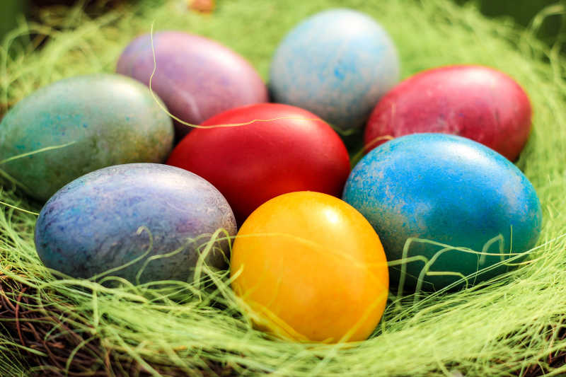 鸟窝中的五彩复活节彩蛋