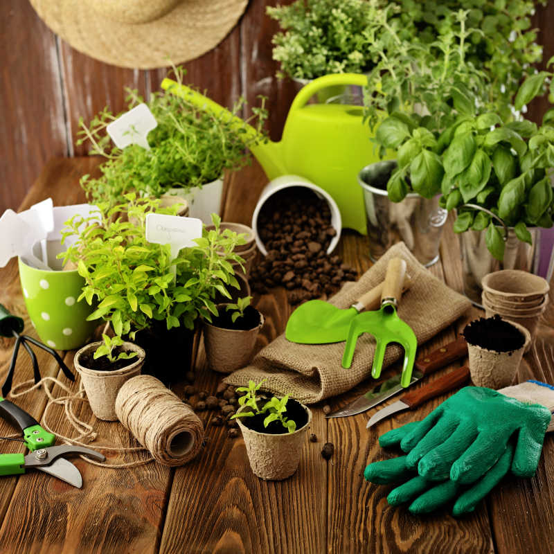 木桌上的园艺工具和盆栽