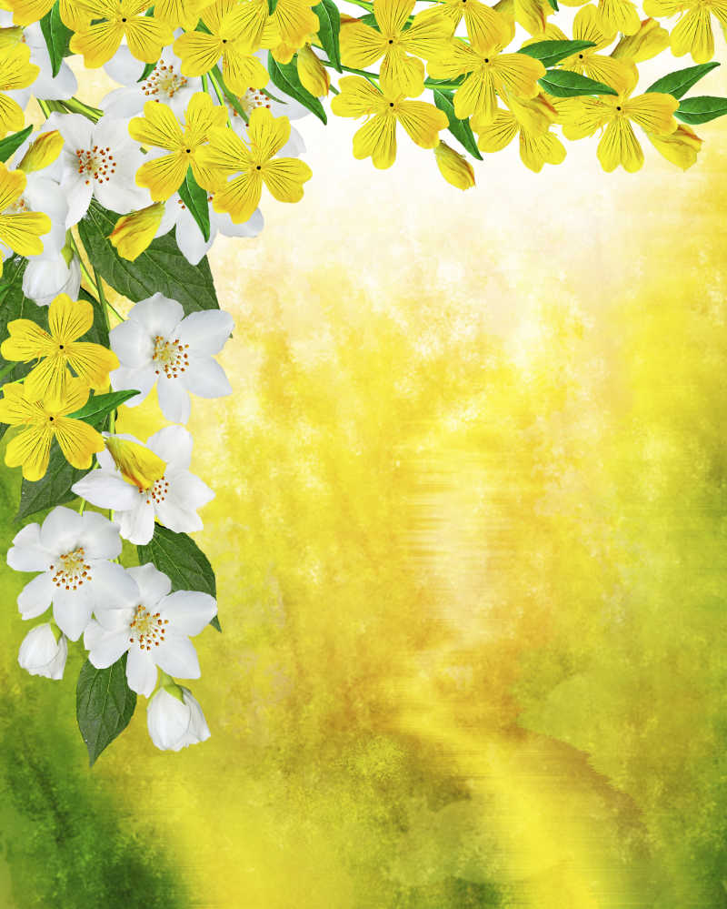 模糊黄色背景前的迎春花与茉莉花