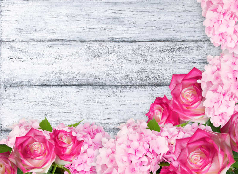 破旧木地板上的粉红玫瑰与绣球花