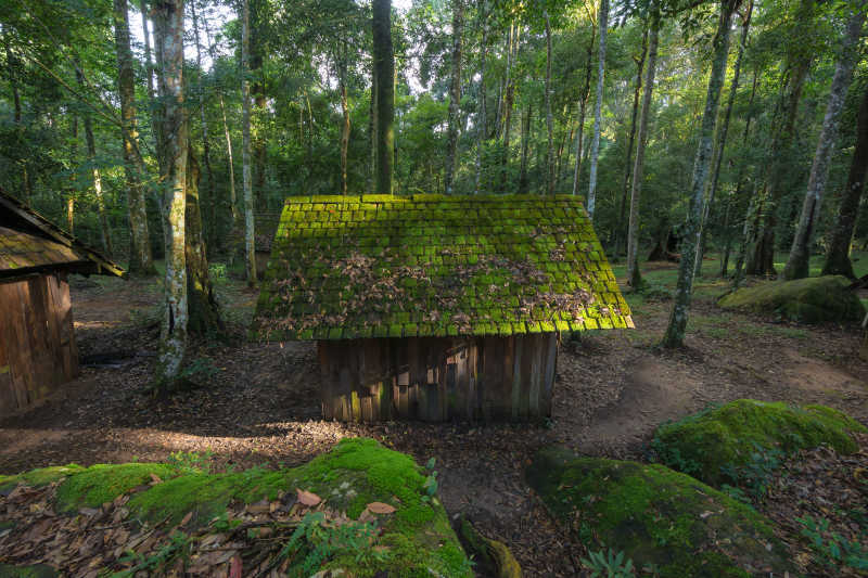 森林中的绿色小木屋