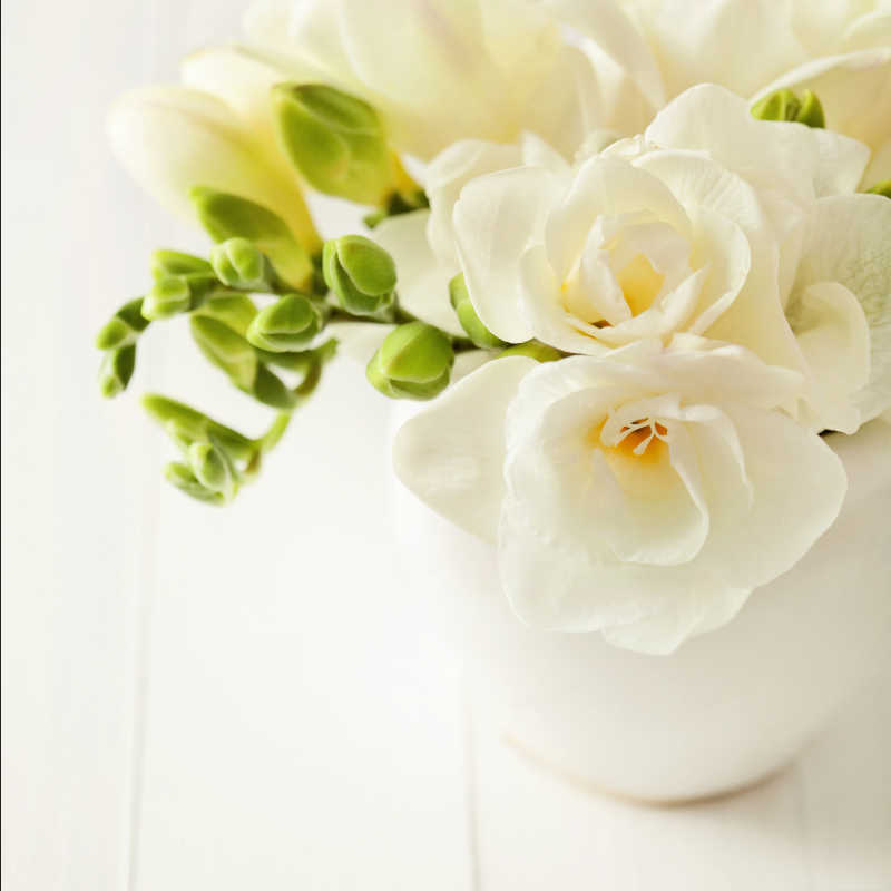 白色花瓶里的白色花束