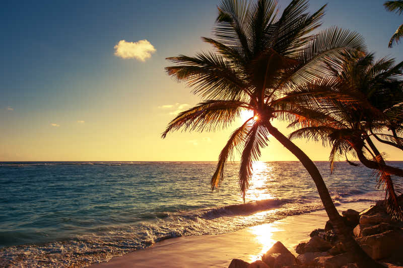 热带海滩美丽的日出风景
