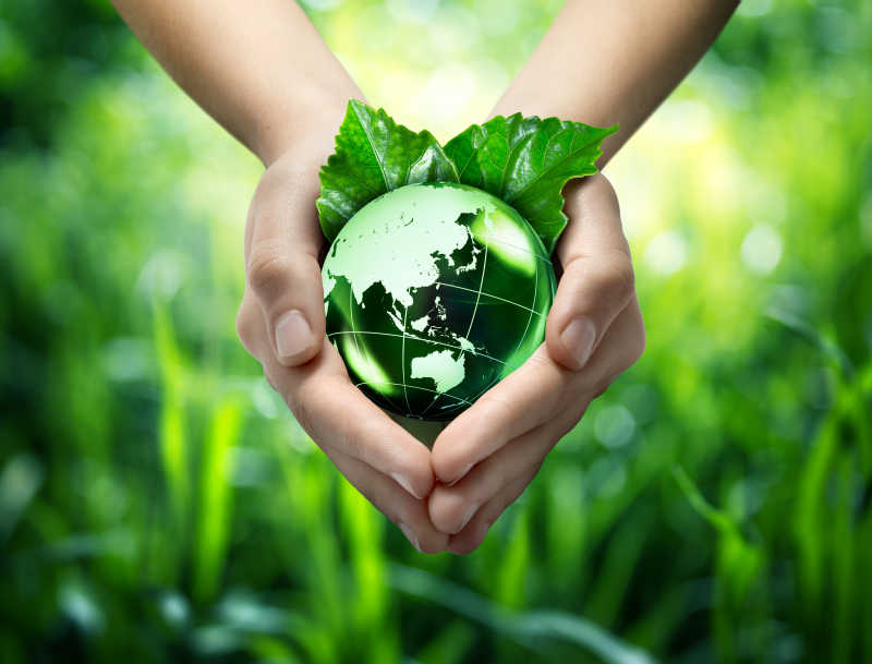 保护世界的绿色概念