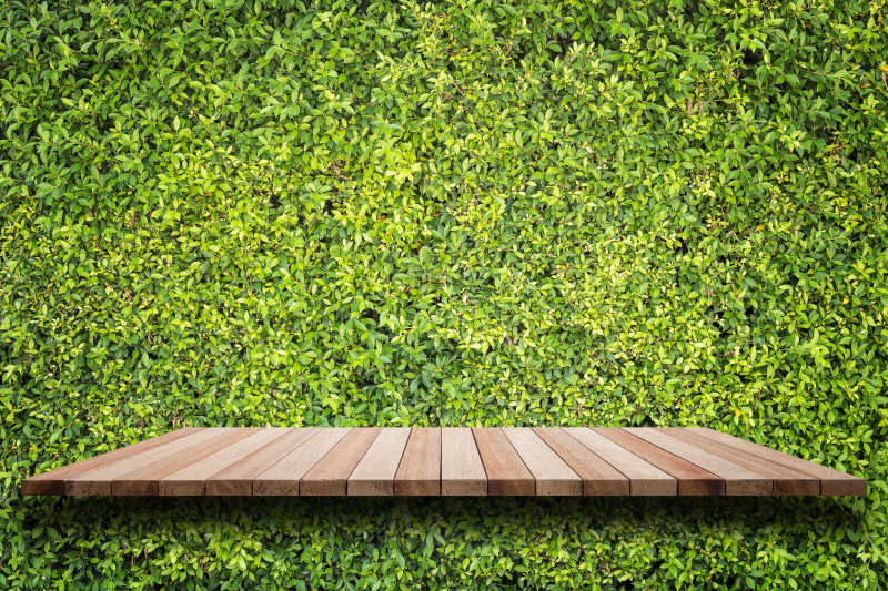 绿色植物背景上的木制地板