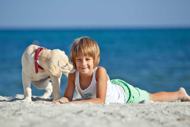 海滩上快乐小孩和狗