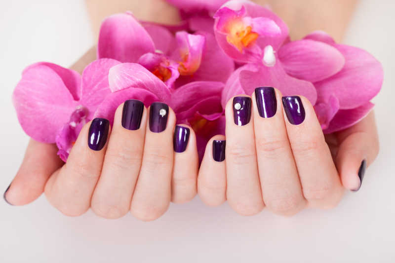 捧着花朵的紫色美甲的手
