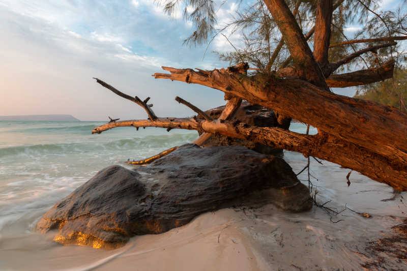 夏天的日出海景热带海滩的岩石的树木