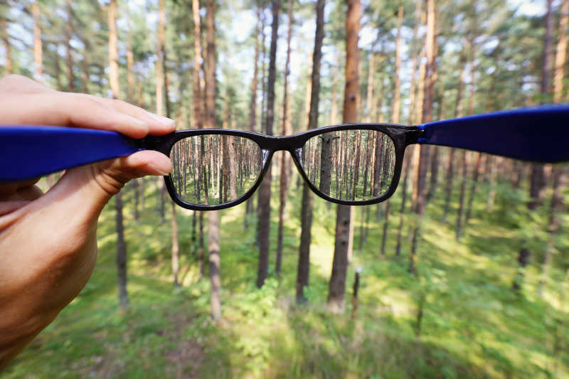 眼镜在模糊的森林背景中