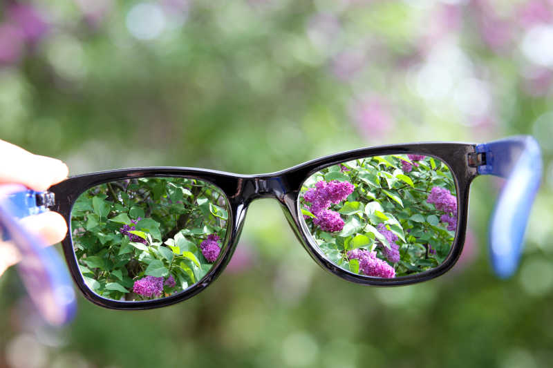 眼镜里的紫色的花朵