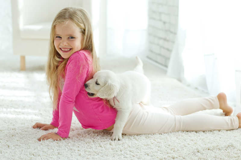 白色屋子内的拉布拉多幼犬与女孩