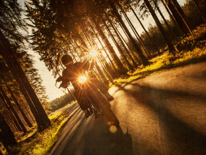 森林路上骑摩托车的人