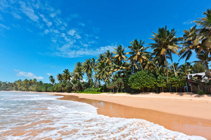 斯里兰卡度假美丽海滩