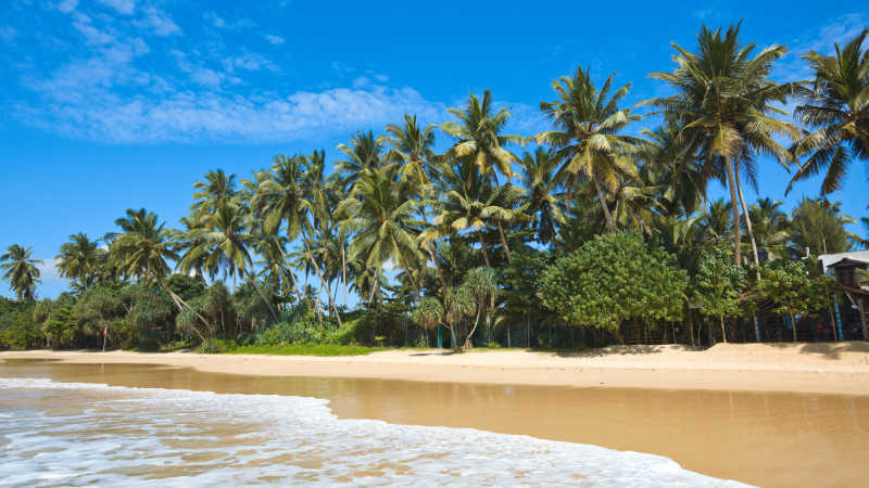 热带海边海滩风景