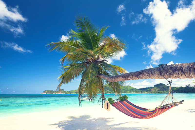 热带海滩上倾斜的棕榈树吊床