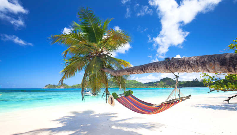 热带海滩棕榈树上的吊床