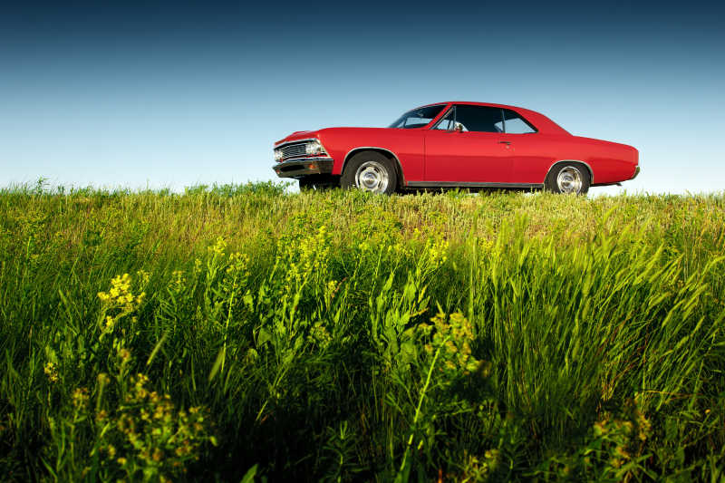 日落时分在绿色草地上的红色汽车